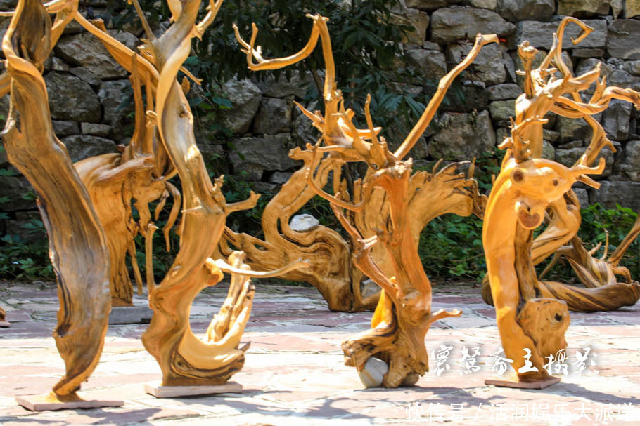 太行山下的遍地“崖柏”,不知到底有多少是真正出自太行山的呢