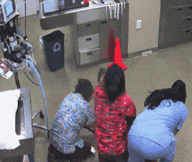 |搞笑GIF:大爷,我只是想拍个照,你没必要拿鞭子抽我吧!