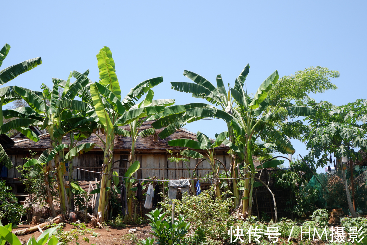一人|向往的生活蘑菇屋收費參觀,20元一人還送果汁,小院實在太美了