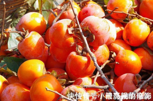 血压|高血压能“喝酒”吗?酒后尽量远离3种食物,尤其是中老年人