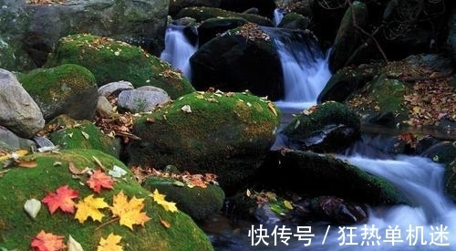 闻语#王安石赞美冬日暖阳,抒写了一首七律,清新质朴,愉悦中略带忧伤