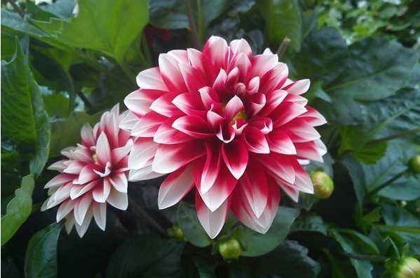 福运|发大财很简单!只需戒掉4个毛病,你将财运大开、福运升天!