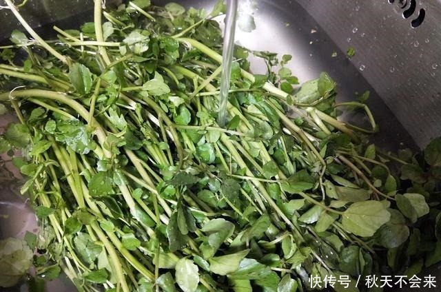 红枣|它是猪身上“最营养”的部位，15一斤都没人买，肉贩子偷着乐！