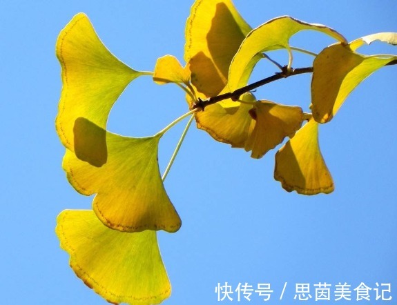 华佗|华佗留下了治疗36种疾病的无价偏方,实属罕见,弥足珍贵