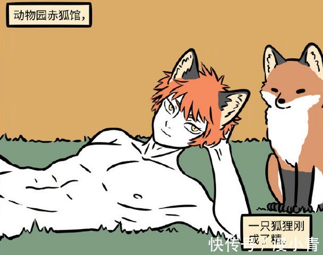 漫画|非人哉成精赤狐影响市容,九月代替十一月上班,老心酸了