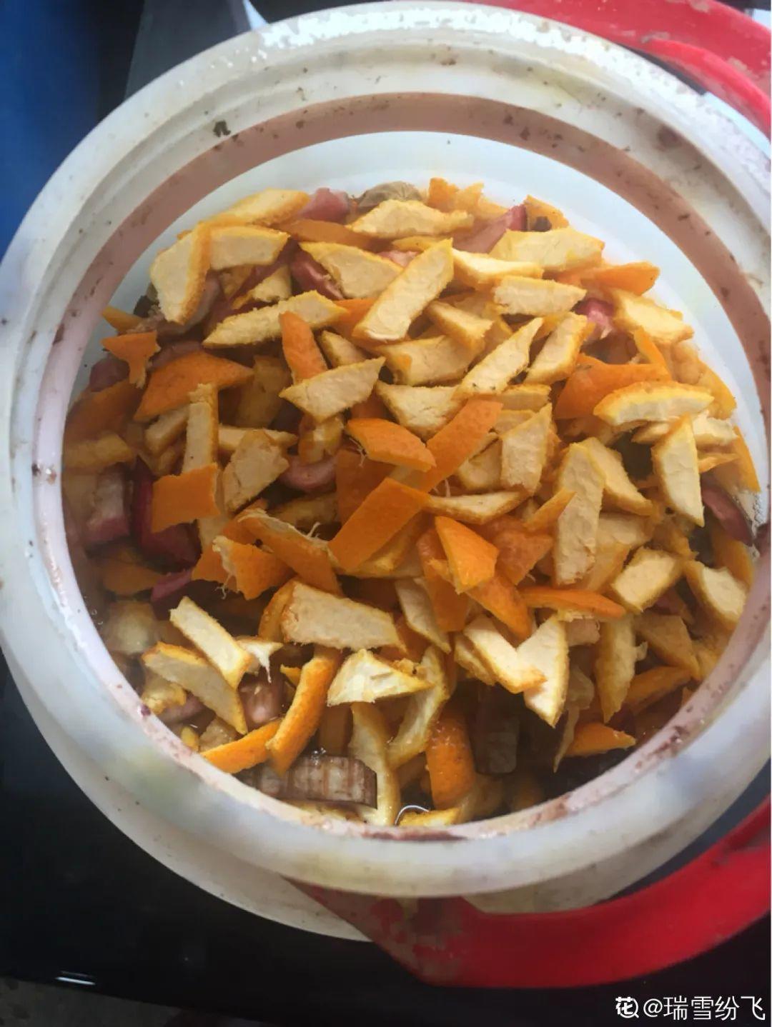 1个塑料瓶,居然有8种养花方法,省钱又好用!