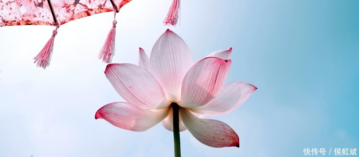 腹有诗书气自华,飞花令里读诗词——100句(送)篇