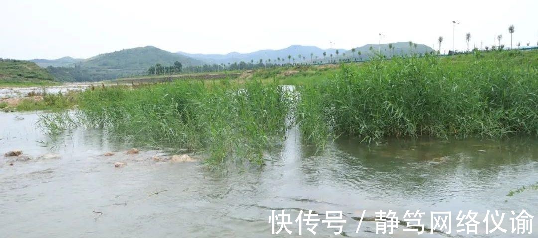 自驾游|临朐石家河生态经济区有个地方很美！可自驾游，什么费也不收！