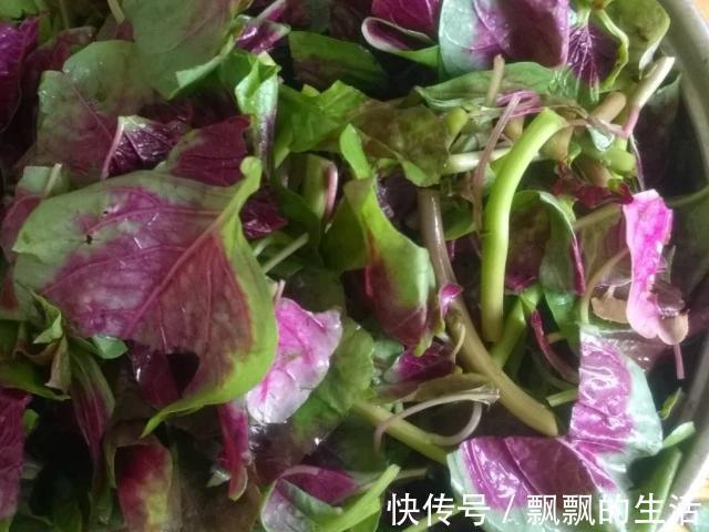 叶酸|女人怀孕后,4种食物可以适量多吃,或能补充叶酸,帮助胎儿发育