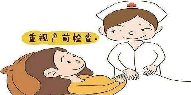 主力|高龄产妇成生育主力!高龄生育风险大,想健康好孕,牢记6要点