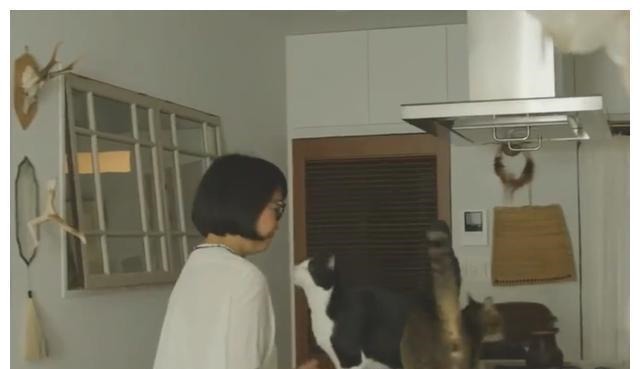 装饰|日本空间设计师的家:墙壁装饰才是主角,绝不浪费大白墙的空间