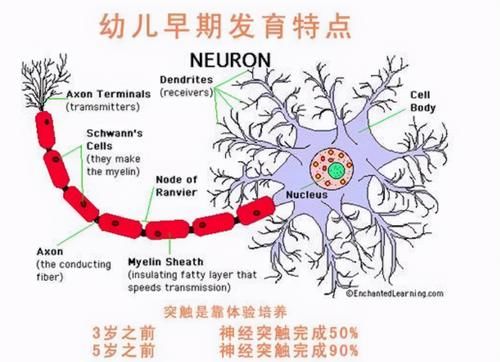 汉字|4-6岁是识字的黄金年龄段，掌握这5个技巧，把娃练成识字高手