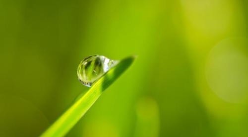 孝顺|出生在几点钟的孩子,智商高,长大后孝顺又有出息,光宗耀祖