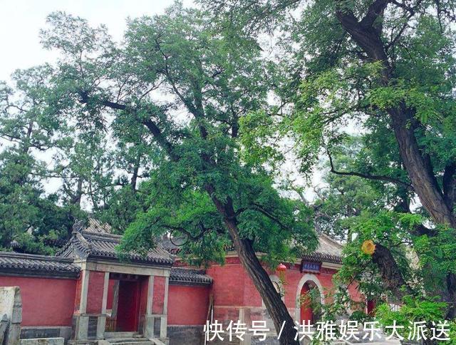 承恩寺|我国最“自闭”寺院，曾建寺500多年不开门，今免费开放却需预约