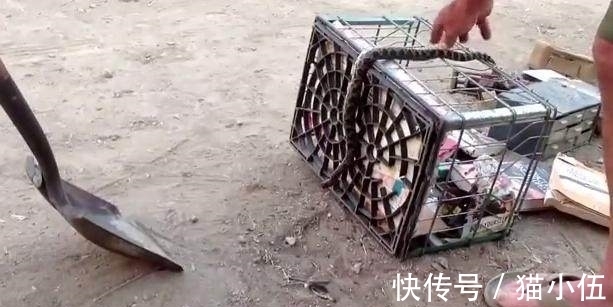 寄存剧毒物品有必要运用铁皮柜保管、贮存（）