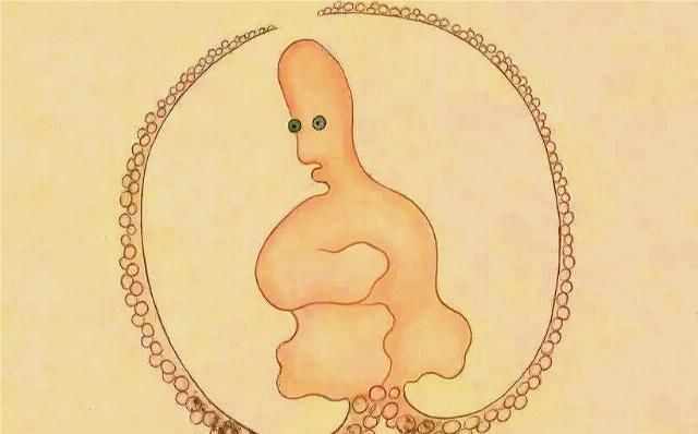 故宫|故宫这本“奇书”,里面9种“奇物”越看越可怕至今还是个谜