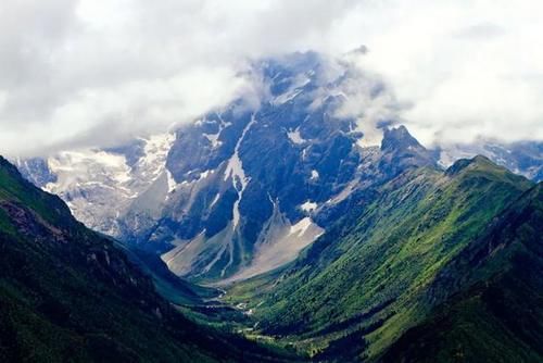 冰雪|高山流石滩，这里的花比任何地方都美丽