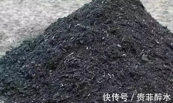 花土|买肥料不如自制,牢记这几招,养花才不会再出问题