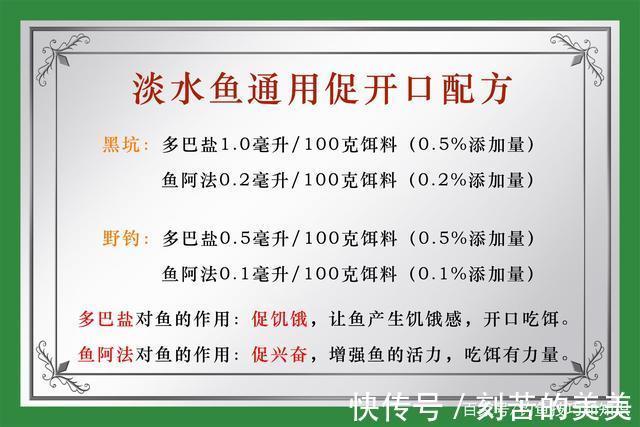秋天钓鱼，怎样让鱼口变得更好秋天改善鱼口的技巧和方法