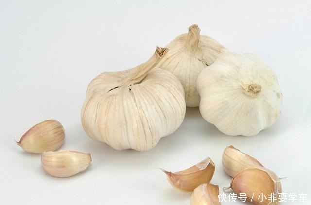 一个垃圾桶,能种出一桶蒜!多到吃不完,以后家里一年都不用买了!