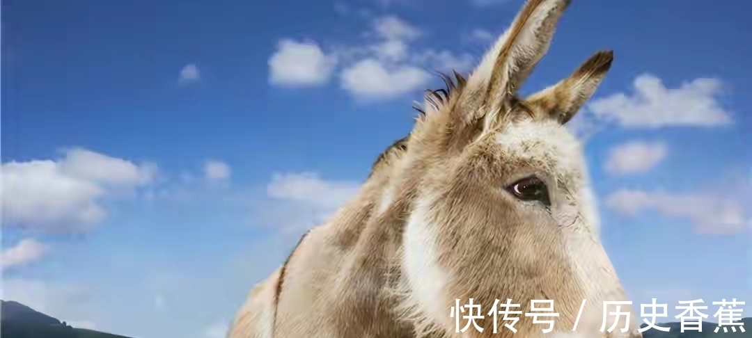 果冻|世界上的47个冷知识,您知道几个?