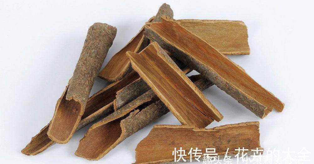 炖牛肉,别放错调料,牢记“3放3不放”,牛肉不腥不柴,软烂入味