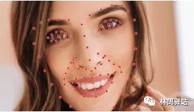 ocr|这10种常见的图像标注类型,你知道它们通常作用于哪些应用场景吗?