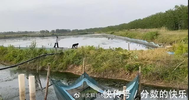 |朋友在你脱单路上的重要性 冷段子1794