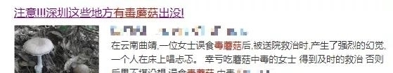 毒蘑菇种类|警惕这道“菜”不要随便吃,最近已致多人死亡