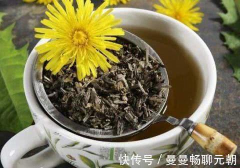 口臭|每天用“蒲公英”泡水喝,坚持一段时间,这8件好事可能悄然来临