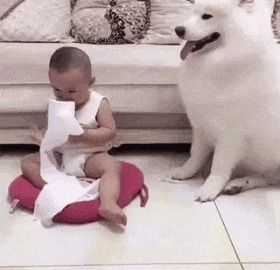 |GIF搞笑趣图:小主人千万不要吃纸,这是不好的,乖!