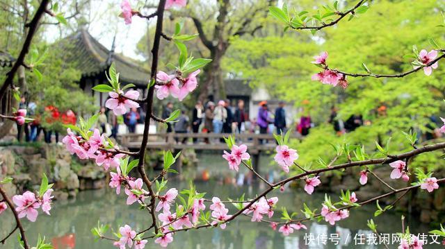 大地回春景更美