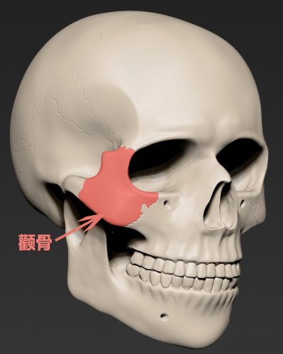 牵拉力|颧骨内推后,面部皮肤一定会下垂吗？看完秒懂