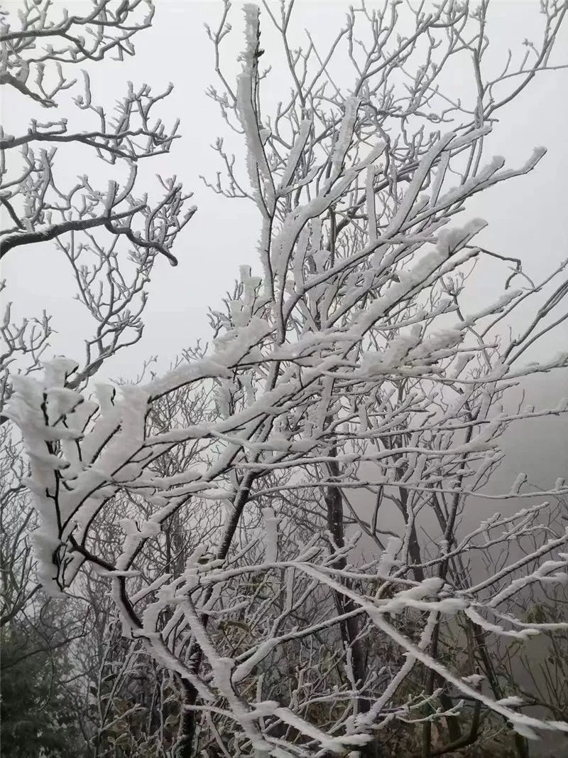 现场|环江的“网红打卡地”，没到过现场的朋友速来围观！