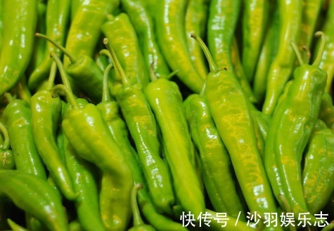 想要尖椒高产量必学尖椒的种植要点,后期管理也是关键