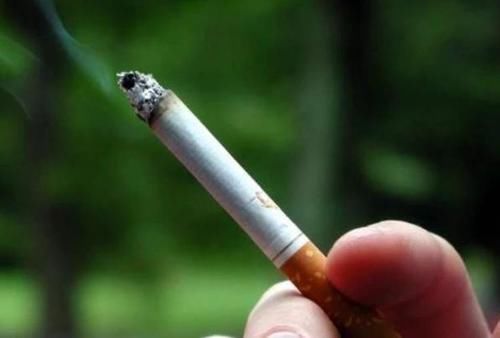 肺部“吸尘器”找到了，不是白萝卜而是它，可劲吃，清肺更养肺！