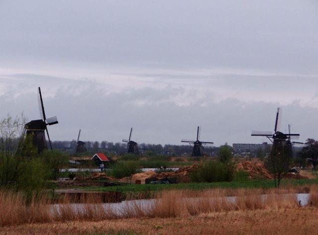 生活环境|通风也是有技巧的!每天开窗不能称之为通风,4个正确通风的方法