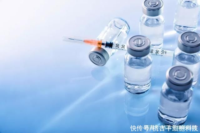 生成|研究发现,干细胞通过诱导生成胰岛β细胞来治疗1型糖尿病