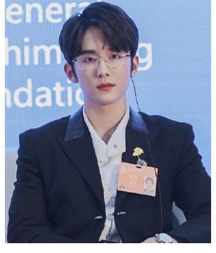 野生植物|張新成再現(xiàn)威震天逗小朋友的搞笑名場(chǎng)面，成功解鎖搞怪能手，網(wǎng)友直呼神還原