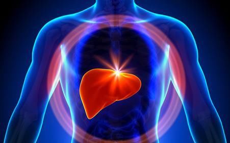 蒙古|蒙古被称为“世界肝癌大国”?原因是什么?做好这4点,或可护肝