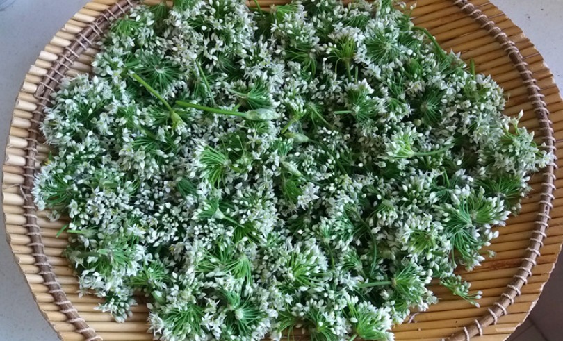 自制韭花酱，只放盐是外行，多加1样，口感好味道香，久放不会坏