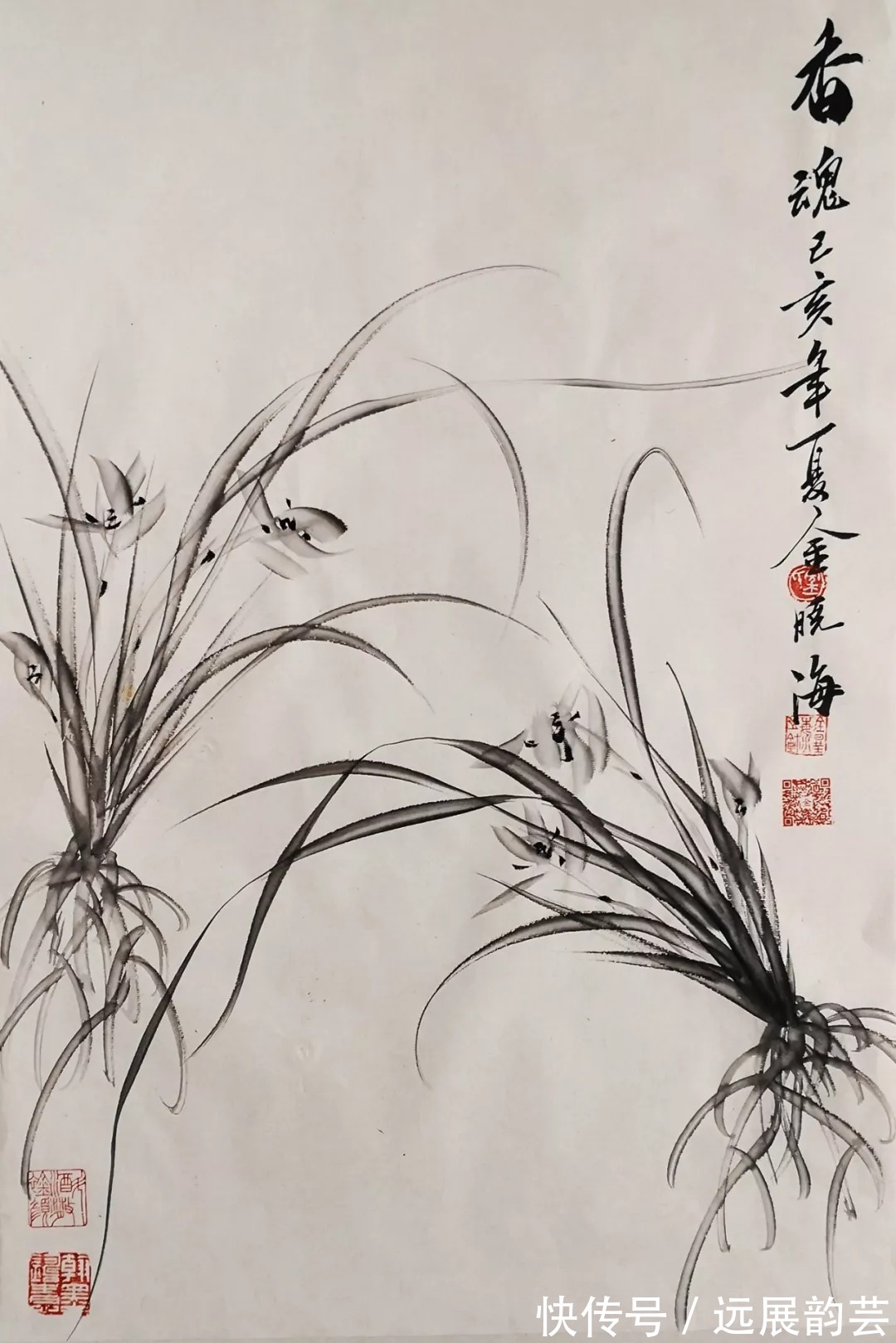 兰花#当代兰花才子——实力画家金晓海作品欣赏