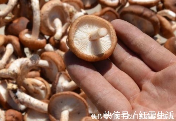 都是干香菇，“花菇”“冬菇”有啥不同？区别太大了，不懂别乱买