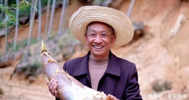  舌尖上的周宁——深山“冒”美食