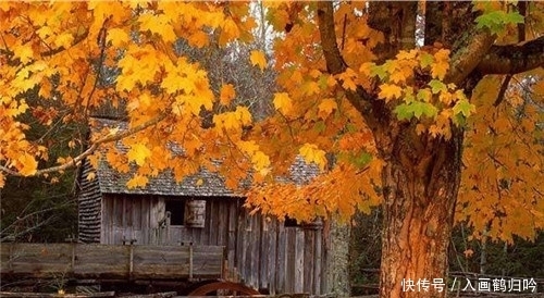 中国最“凄凉”的3个姓,其中一姓仅剩17人,另外2姓羞于启齿