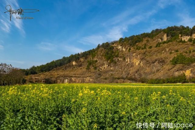 这个废弃的矿坑，周围种满油菜花，摇身一变成为杭州踏青的好去处