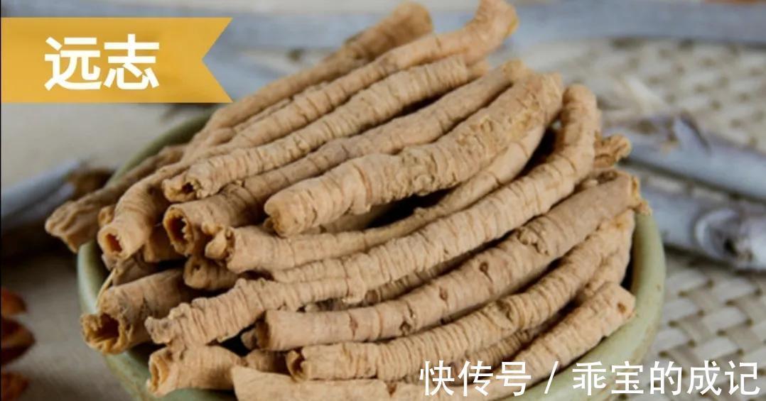 肾气|中药古今研究：远志