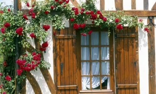 心情|陪着孩子一起成长的心情说说