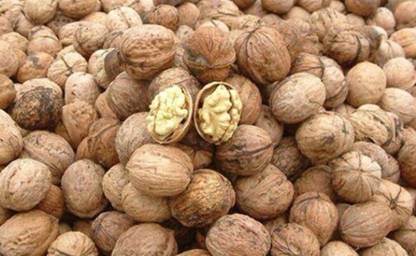 核桃|核桃什么时间吃最好医生吃对是 “长寿丹”，吃错早升天