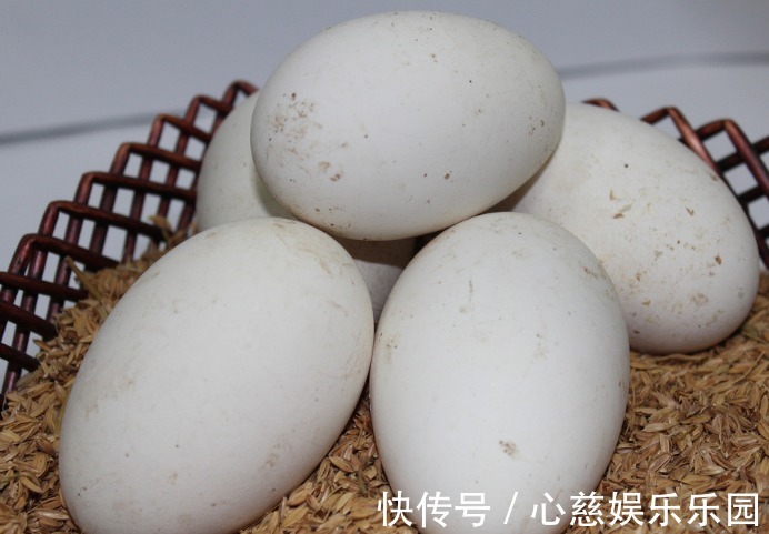 胎毒|在有孕阶段,有5种食物孕妈常吃可以清除体内毒素,有益宝宝发育